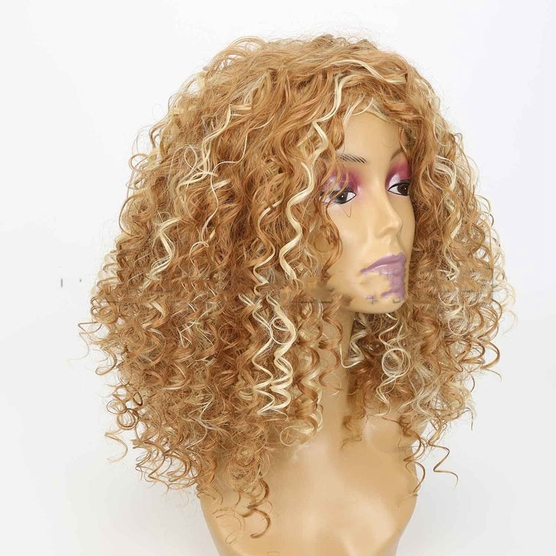 Women's Mixed Color Long African Long Curly Wig