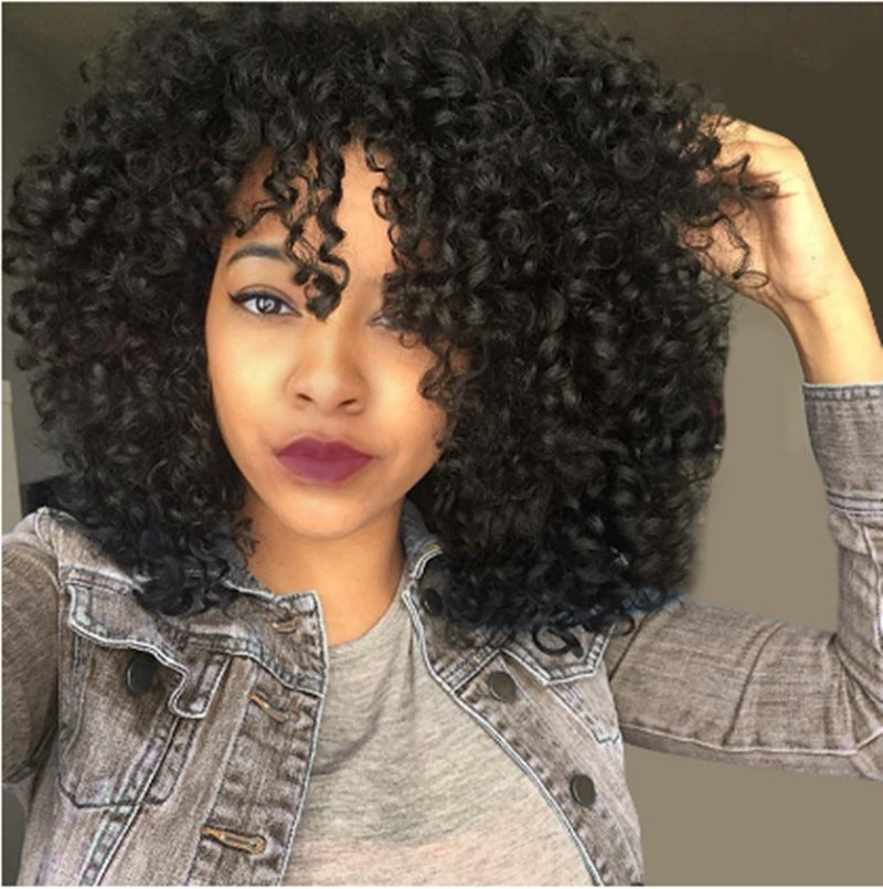 Manufacturers African Curly Hair Wigs
