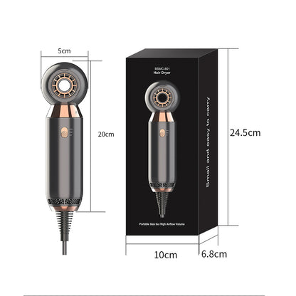 10 00W With Leafless Fan 2 Speed Hair Dryer