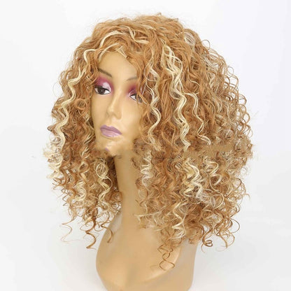 Women's Mixed Color Long African Long Curly Wig